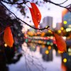 Veja como começa o clima nesta semana e como serão as temperaturas máximas e mínimas em cada capital - Envato