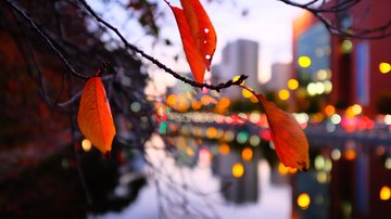 Veja como começa o clima nesta semana e como serão as temperaturas máximas e mínimas em cada capital - Envato