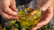 A espinheira-santa é uma planta medicinal nativa da América do Sul - Foto: Envato Elements/yanadjana