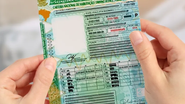 A Carteira Nacional de Habilitação (CNH) tem validade de 3 anos após os 70 - Foto: Divulgação/Detran