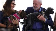 A primeira-dama Janja e o presidente Lula lançam programa para registro de pets - Fabio Rodrigues-Pozzebom Agência Brasil