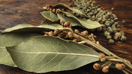 Há muito tempo, ele é valorizado na medicina natural por suas propriedades terapêuticas - Foto: Envato Elements/FabrikaPhoto
