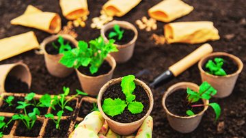 Ideia perfeita é utilizar rolos de papel higiênico como vasos para sementes de plantas - Foto: Envato Elements/yanadjana