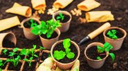 Pesquisa busca descobrir o que motiva as atitudes dos consumidores em relação à sustentabilidade em 42 setores - Foto: Envato Elements/yanadjana