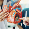 Nem todos os exercícios podem ser benéficos para pessoas com problemas cardíacos - Foto: Envato Elements