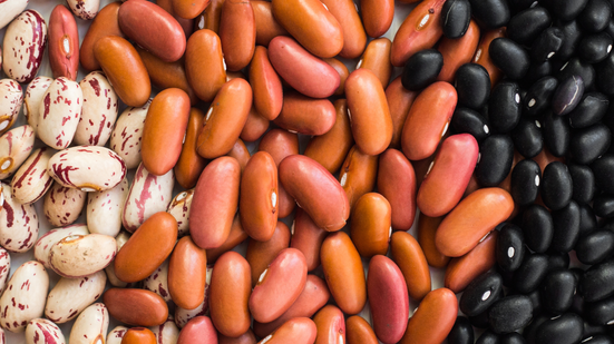 O feijão é um dos pilares da culinária brasileira - Foto: Envato Elements