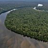 A Amazônia é conhecida também pela sua biodiversidade; termo que diz respeito à quantidade de espécies diferentes que habitam o planeta - Onçafari/via Fotos publicas