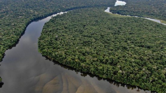 A Amazônia é conhecida também pela sua biodiversidade; termo que diz respeito à quantidade de espécies diferentes que habitam o planeta - Onçafari/via Fotos publicas