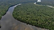 A Amazônia é conhecida também pela sua biodiversidade; termo que diz respeito à quantidade de espécies diferentes que habitam o planeta - Onçafari/via Fotos publicas