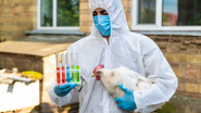 Departamento de vigilância sanitária do RS já vistoriou 55% das 540 propriedades na inspeção de gripe aviária - Envato