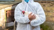 A suspensão ocorre após a confirmação do primeiro foco de gripe aviária em granja comercial no Rio Grande do Sul - Envato Elements