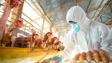 Ao todo, 540 propriedades rurais foram vistoriadas - Adobe Stock