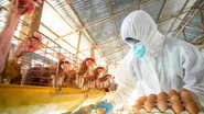 Ao todo, 540 propriedades rurais foram vistoriadas - Adobe Stock