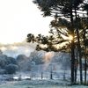 Onda de frio pode ser intensa em todas as regiões do País - Adobe Stock