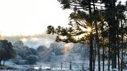 Onda de frio pode ser intensa em todas as regiões do País - Adobe Stock