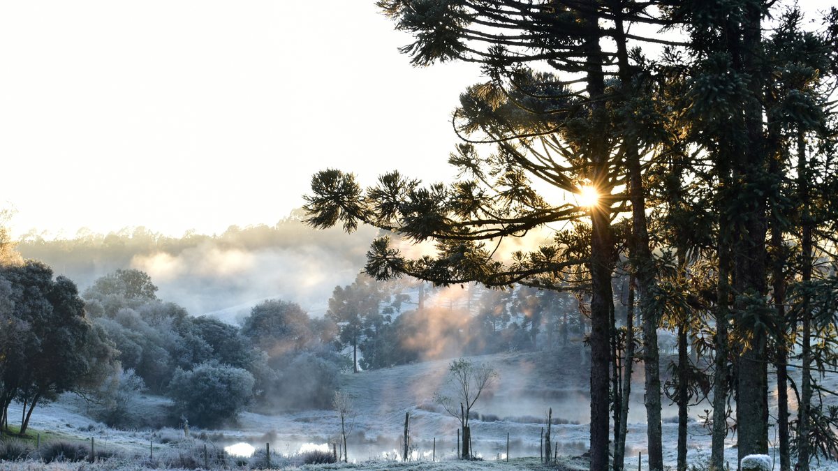 Onda de frio pode ser intensa em todas as regiões do País - Adobe Stock