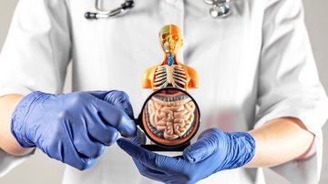 Realizado com sedação, o exame de colonoscopia investiga o intestino - Adobe Stock