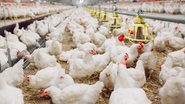 O Serviço Veterinário Oficial do Rio Grande do Sul (SVO-RS) inspecionou 94 propriedades de subsistência - Adobe Stock