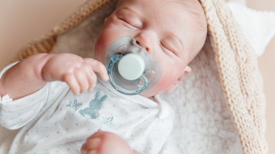 Bebê reborn fará parte da trama da novela Vale Tudo - Adobe Stock