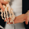 Conheça os alimentos ricos em cálcio que são seus aliados contra a osteoporose. - Foto: Envato Elements