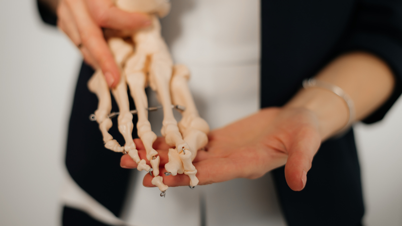 Conheça os alimentos ricos em cálcio que são seus aliados contra a osteoporose. - Foto: Envato Elements