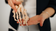 Conheça os alimentos ricos em cálcio que são seus aliados contra a osteoporose. - Foto: Envato Elements