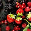 Exemplos de frutas com alto teor de antioxidantes, que protegem o cérebro contra danos e colaboram na prevenção da depressão - Foto: Envato Elements