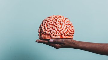 Cada participante foi acompanhado por cerca de três anos - Foto: Envato Elements