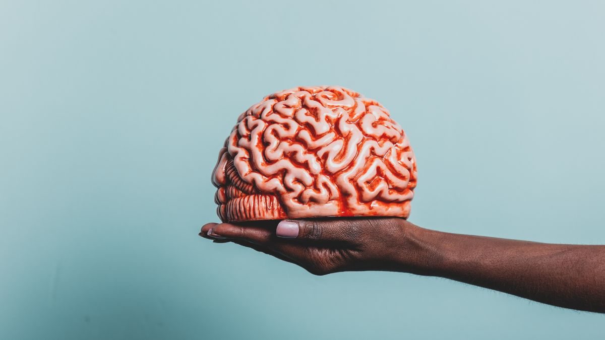 A prática constante desses exercícios digitais pode fortalecer as habilidades mentais - Foto: Envato Elements