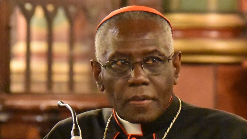 O cardeal Robert Sarah é uma das apostas da ala conservadora da Igreja Católica para novo papa - François-Régis Salefran