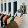 Preços menores que os do mercado internacional se deve, em parte, a valorização do câmbio - Envato Elements
