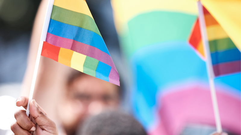 Data reforça luta pelos direitos e o fim a violência contra pessoas LGBTQIAPN+ - Foto: Envato Elements