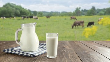 As reações são diferentes na intolerância e na alergia alimentar - Foto: Envato Elements