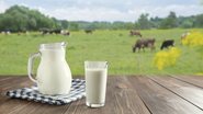 O leite e seus derivados também podem ajudar no controle do peso corporal - Foto: Envato Elements