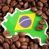O Dia Nacional do Café vai muito além de uma simples comemoração - Foto: Envato Elements