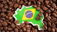 O Dia Nacional do Café vai muito além de uma simples comemoração - Foto: Envato Elements