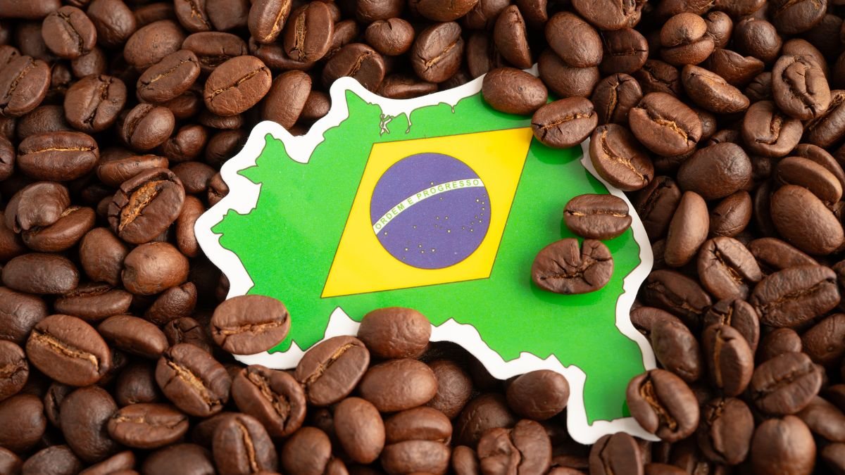 O Dia Nacional do Café vai muito além de uma simples comemoração - Foto: Envato Elements