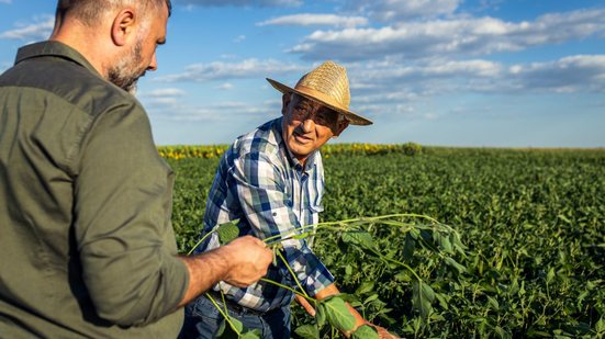 O Produto Interno Bruto (PIB) da agropecuária foi impulsionado por safras de soja, milho, arroz e fumo - Envato