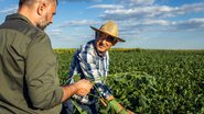 O Produto Interno Bruto (PIB) da agropecuária foi impulsionado por safras de soja, milho, arroz e fumo - Envato