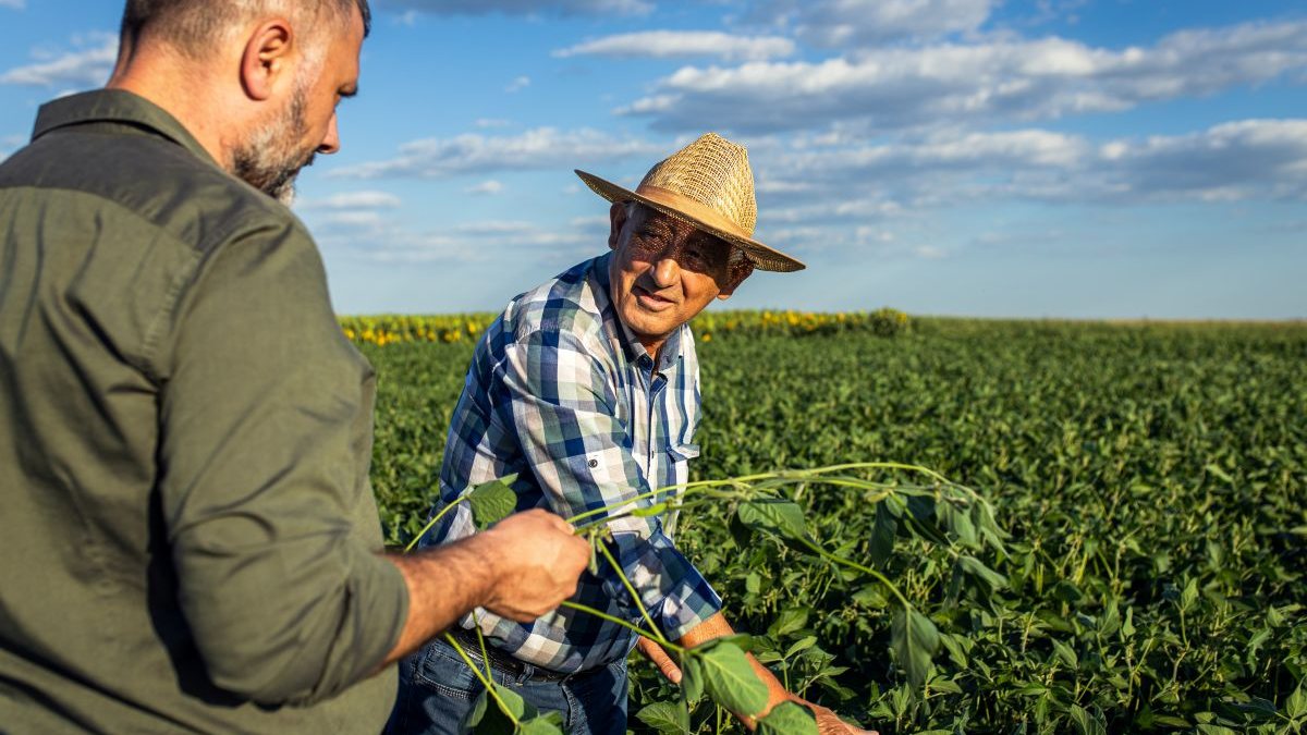 O Produto Interno Bruto (PIB) da agropecuária foi impulsionado por safras de soja, milho, arroz e fumo - Envato