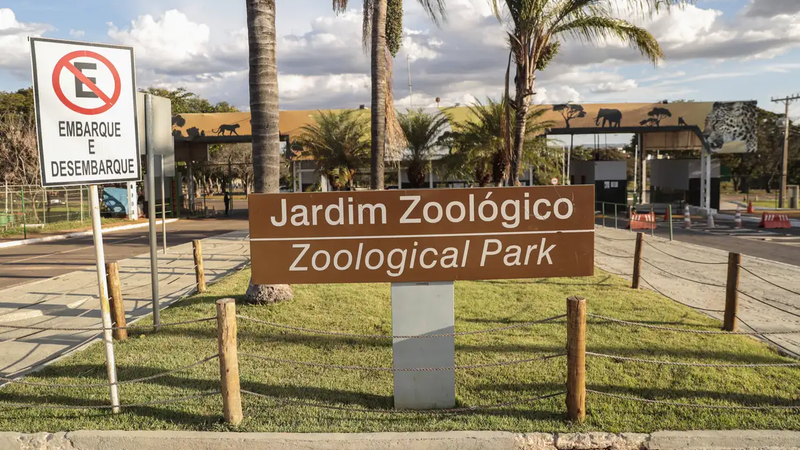 Um pombo e um irerê foram entrados mortos no zoológico de Brasília, que foi fechado preventivamente - Agência Brasil