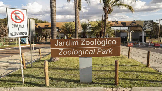 Um pombo e um irerê foram entrados mortos no zoológico de Brasília, que foi fechado preventivamente - Agência Brasil