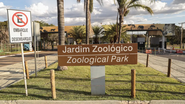 Um pombo e um irerê foram entrados mortos no zoológico de Brasília, que foi fechado preventivamente - Agência Brasil