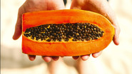 Essas frutas podem ajudar a complementar como fonte de cálcio. - Foto: Envato Elements