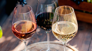 Conheça os melhores vinhos do Brasil, segundo especialistas. - Foto: Envato Elements