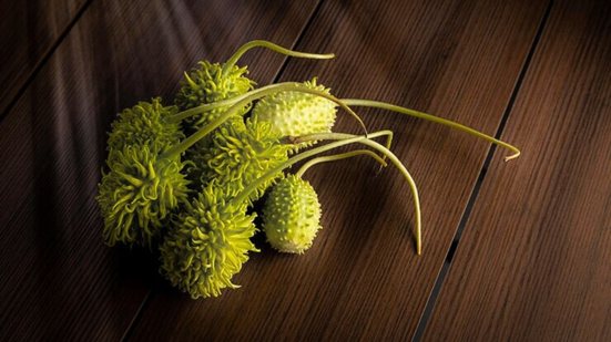 Se você ainda não experimentou o maxixe, vale dar uma chance - Foto: Envato Elements