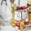 Transplante de intestino delgado (TID) ou multivisceral (TMV) pode ser feito pelo SUS - Foto: Envato Elements