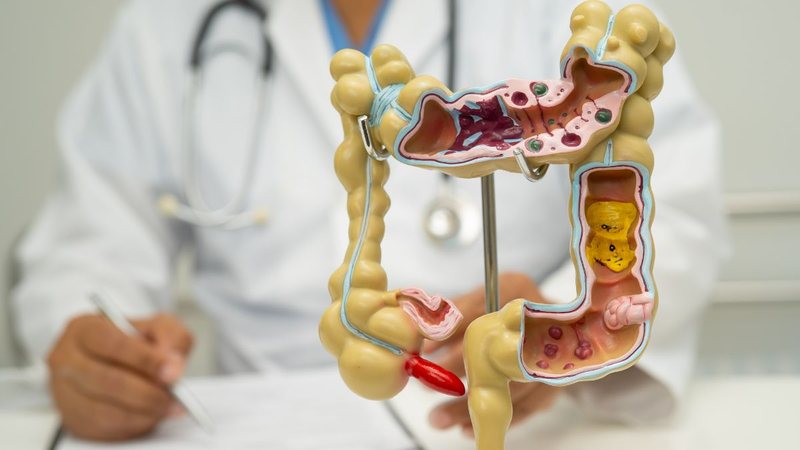 Estudos recentes mostram que familiares, amigos e parceiros tendem a ter microbiomas mais semelhantes entre si - Foto: Envato Elements