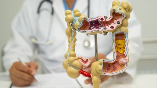 Estudos recentes mostram que familiares, amigos e parceiros tendem a ter microbiomas mais semelhantes entre si - Foto: Envato Elements