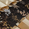 Incorporar sementes à alimentação diária é uma maneira simples e eficaz de enriquecer sua dieta - Foto: Envato Elements